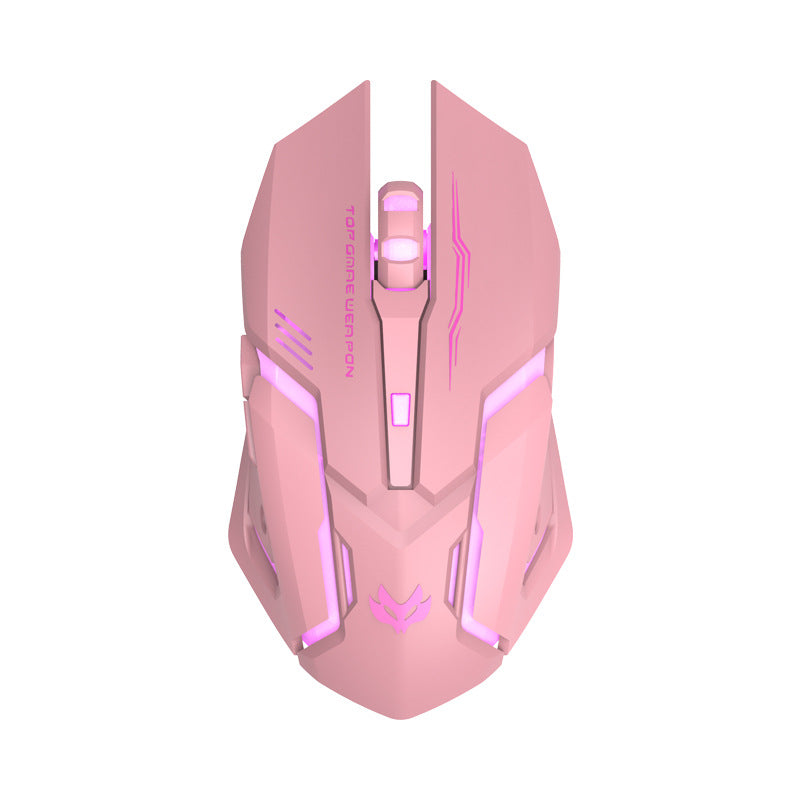 Souris Gaming Sans Fil Silencieuse Ergonomique