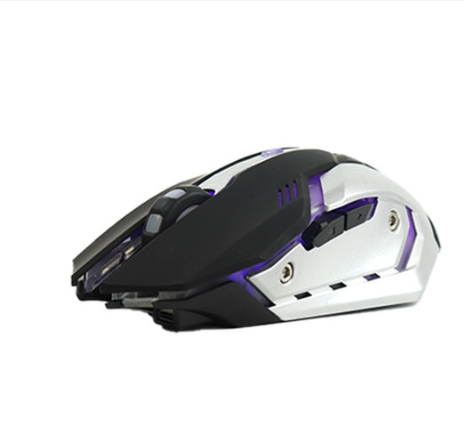 Souris Gaming Sans Fil Silencieuse Ergonomique
