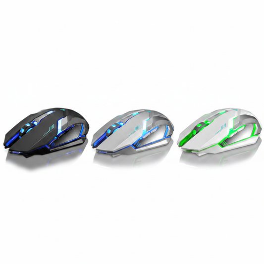 Souris Sans Fil Rechargeable — Noir, Argent & Blanc